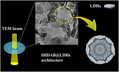 Substrate-Assisted Visualization of Surfactant Micelles via Transmission Electron Microscopy